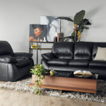 Bộ Sofa sang trọng Dove SOFA-011